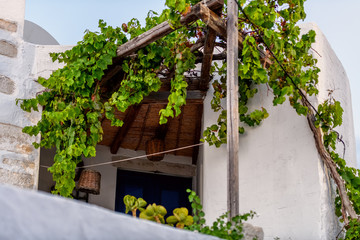 The typical cyclades style with colorful flowers in Parikia town on Paros island, Greece
