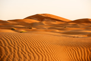 Huge dunes of the desert. Beautiful structures of yellow sand dunes. United Arab Emirates. Asia.