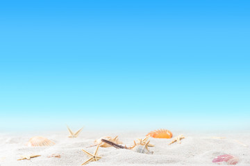 relaxation on summer exotic sandy beach concept