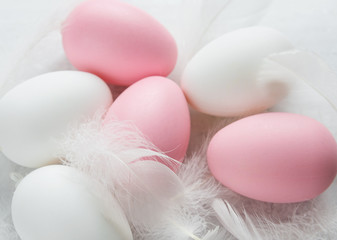 Easter eggs among fluffy fuzzes