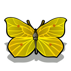 The butterfly is made from the pulp of ripe lemon isolated on white background. Vector cartoon close-up illustration.