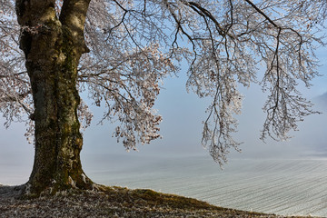 Winterlandschaft im Emmental