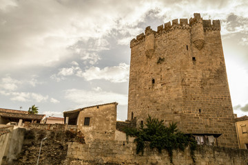 Fototapeta na wymiar The castle of Coria (Spain)