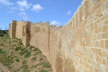 Obraz premium wall of castle