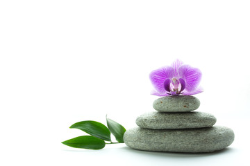 Concept of wellness and tranquility - purple orchid blossom on top of three grey roundstones and green leaves isolated on white background