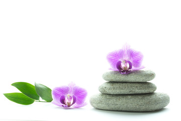 Obraz na płótnie Canvas Two purple orchid blossoms - one on top of a pile of three white roundstones and the other next to it with three green leaves - text space