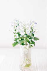 A bouquet of white flowers on a white background