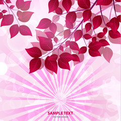 Autumn trees with yellow, golden, red leaves. Sun rays, glare. Autumn landscape. - Vector graphics