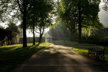 Morning in Park