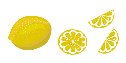 lemon vector illustration on white background. whole, slice and half of slice