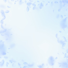 Fototapeta na wymiar Light blue flower petals falling down. Gorgeous ro