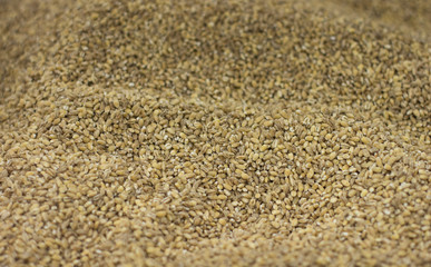 wheat seeds background