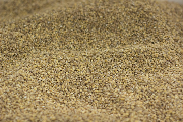 wheat seeds background
