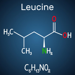 Leucine ( L- leucine,  Leu,  L)  molecule. It is essential amino acid.  Structural chemical formula on the dark blue background