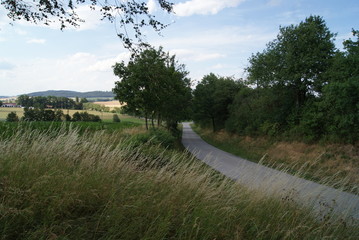 landschaft, gras, natur, himmel, baum, feld, wiese, green, sommer, wald, cloud, blau, frühling, bäuerlich, baum, cloud, land, anblick, horizont, erdboden, holz, sonne, gegend, szene, hills