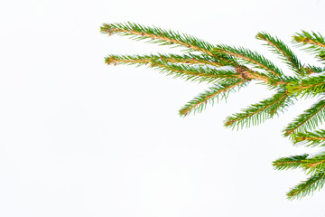  Frozen winter forest with snow covered trees.