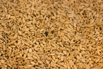 fried cleaned sunflower seeds food concept background surface in market mall