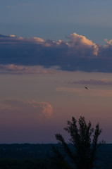 Landscape with dramatic light - beautiful golden sunset with saturated sky and clouds.