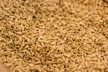fried cleaned sunflower seeds food concept background surface in market mall