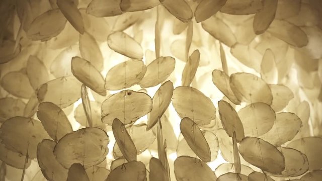 Natural pearl shell candelabras blown by the wind. Concept of tranquility. Video background  
