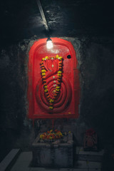 snake
