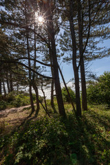 view of beach