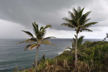 Fototapeta na wymiar Coast of St. Kitts