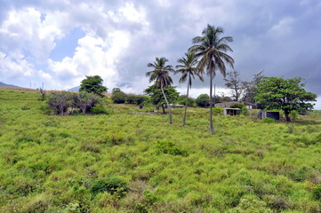 Landscape of St. Kitts