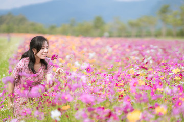 A woman looking a pink cosmos in cosmos fields