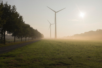 Obraz premium wind farm