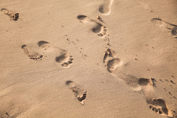 Fototapeta na wymiar Footprints of bare feet on the wet sand