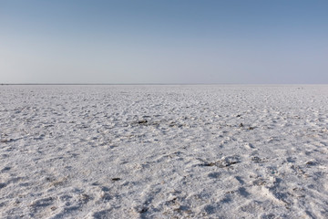 Salt desert Kutch, Gujarat India