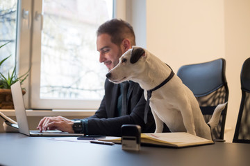 happy businessman working on laptop in office sitting next to dog with a tie