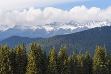 Spring landscape with snow peaks in the mountains