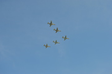 flock of birds flying in blue sky with white clouds