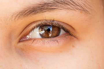 Obraz premium Close-up macro of beauty female brown eye with perfect shape eyebrows. Beautiful clean skin, fashion natural makeup. Good vision, lenses