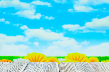 White wooden table flowers, lawn and blue sky background