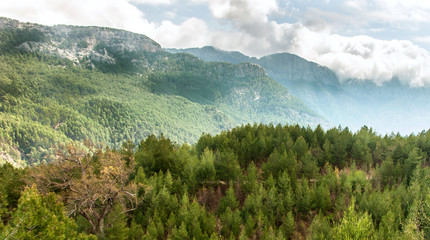 Obraz premium Panorama of green mountain jungle, Turkey