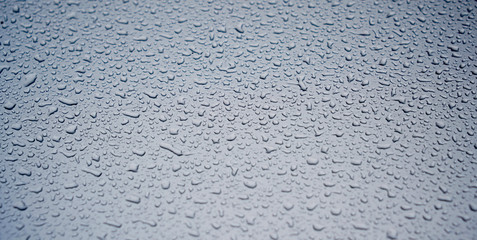 blue rain drops