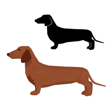 Decorative contour portrait of standing in profile dachshund