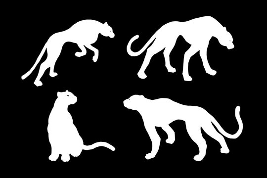 Drawn jaguar, leopard, wild cat, panther silhouettes