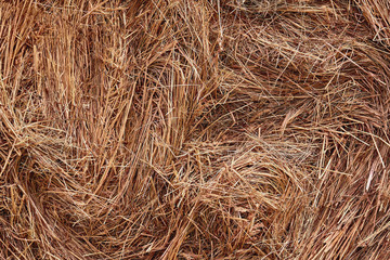 Close-up of a haystack for rural background