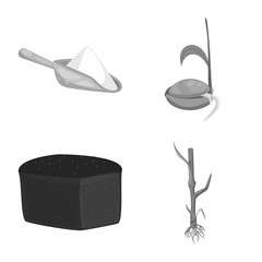 Vector design of rye and plant  icon. Set of rye and corn stock symbol for web.