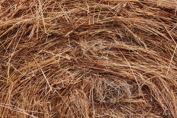 Close-up of a haystack for rural background