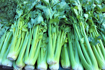 fresh green celery on the counter