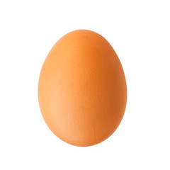 The one brown chicken egg isolated on white background