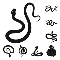 Fototapeta premium Vector design of nature and medicine symbol. Collection of nature and evil stock vector illustration.