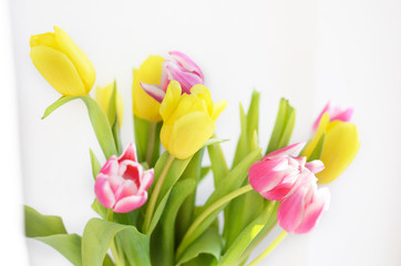 colorful tulip flowers background, blurred flowers.