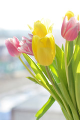 colorful bouquet of tulips on the background of the window, yellow and pink spring flowers