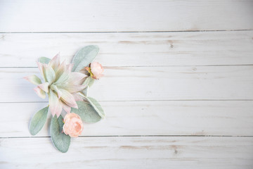 Succulents Styled Stock photo. Boho blogger banner. feminine lifestyle mockup scene. Greenery succulent. Wedding invitation mock up. Rustic styled photo. Floral blog space.